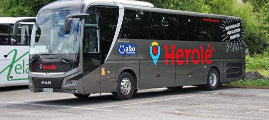 Germany, MAN A13 Lion's Coach № DD-HR 7870 - View photo — Worldwide bus ...